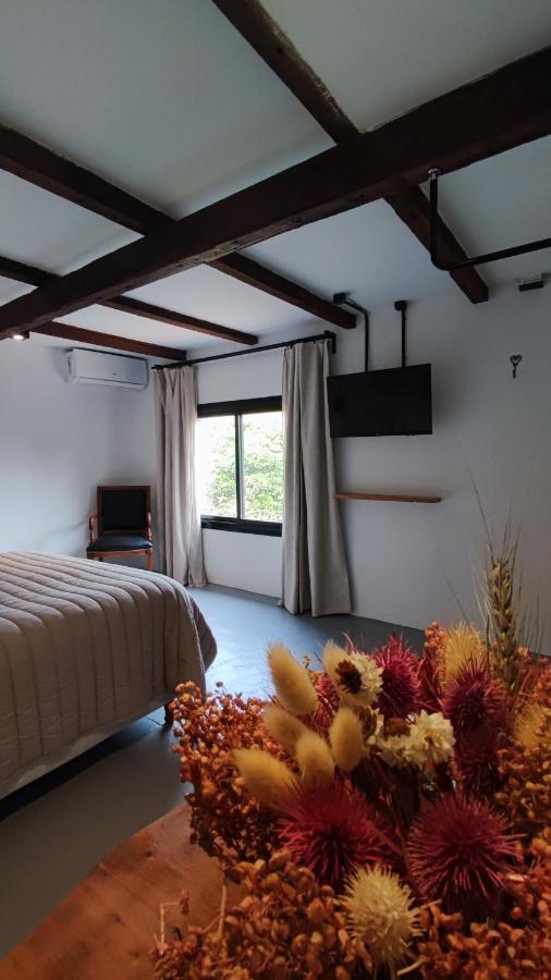 La Botica De 1852 Hotel Chascomús 外观 照片